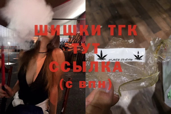 хмурый Верея