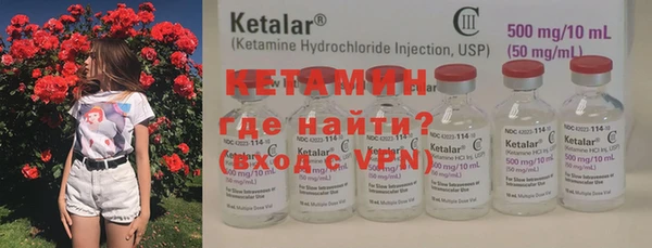 хмурый Верея